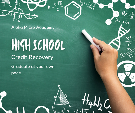 High School Credit Recovery and Repair 1 Course