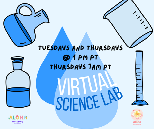 Virtual Kids Science Lab Class